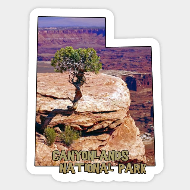 Utah State Outline - Canyonlands National Park Sticker by gorff